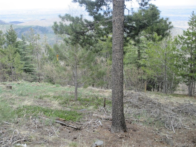 19722 Maxwell Dr, Morrison, CO 80465 - photo 21
