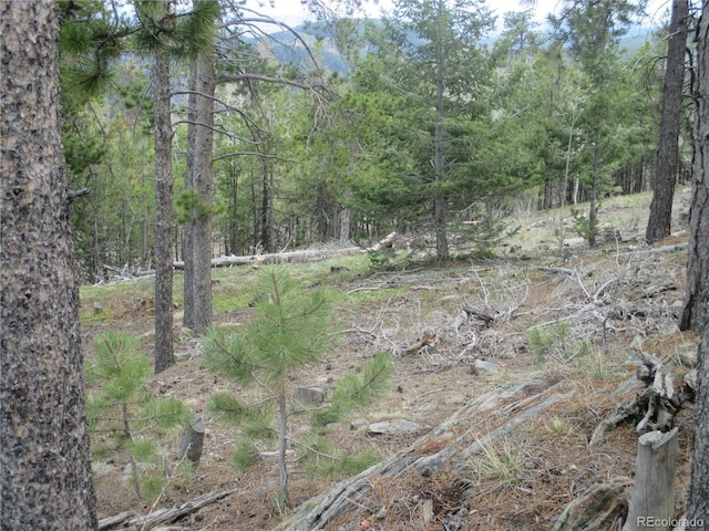 19722 Maxwell Dr, Morrison, CO 80465 - photo 22