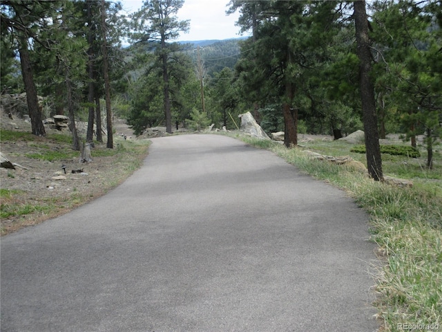 19722 Maxwell Dr, Morrison, CO 80465 - photo 47