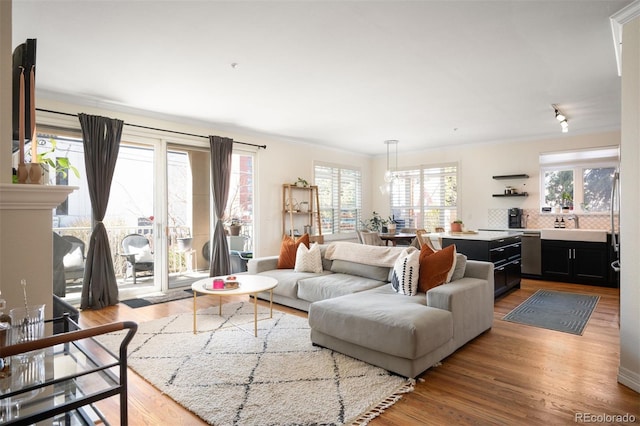 living area featuring wood finished floors and ornamental molding