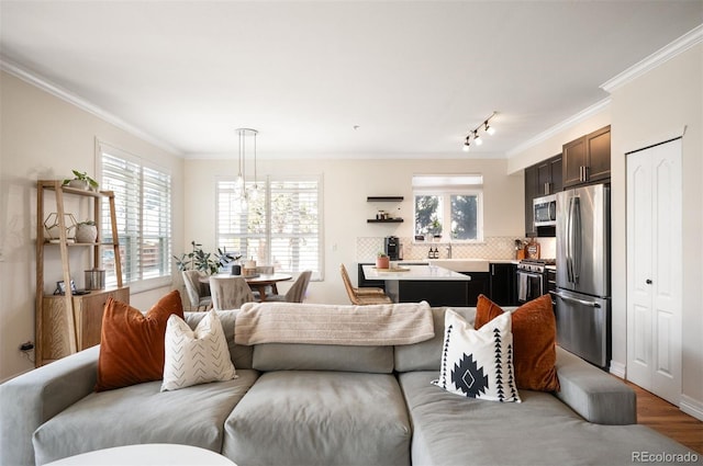 living area featuring crown molding, a healthy amount of sunlight, and light wood finished floors