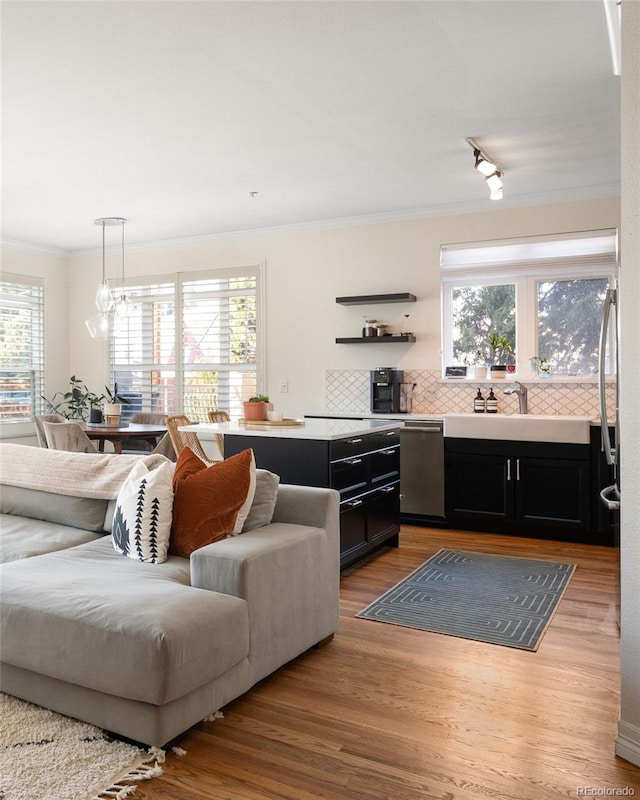 living room featuring wood finished floors, a healthy amount of sunlight, and ornamental molding