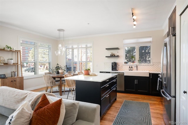 kitchen featuring light wood finished floors, open shelves, stainless steel appliances, a sink, and dark cabinets