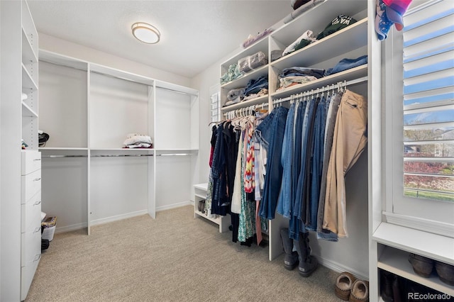 404 Yarrow Pl, Castle Pines, CO 80108 - walk in closet with carpet flooring
