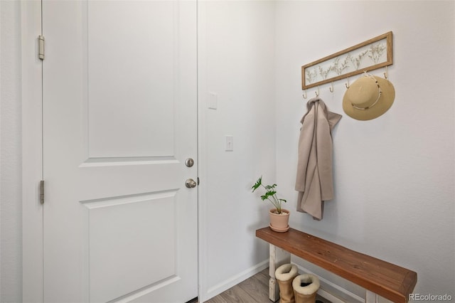 mudroom with hardwood / wood-style flooring