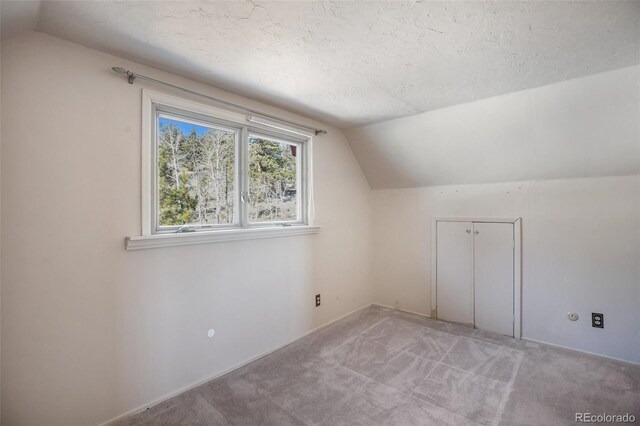 additional living space featuring a textured ceiling, lofted ceiling, and light carpet