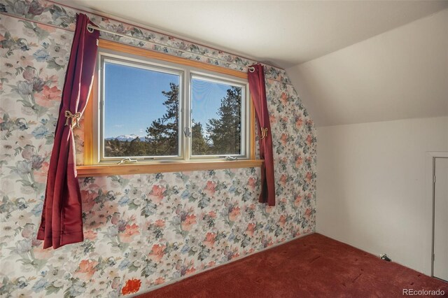 additional living space with carpet floors and vaulted ceiling