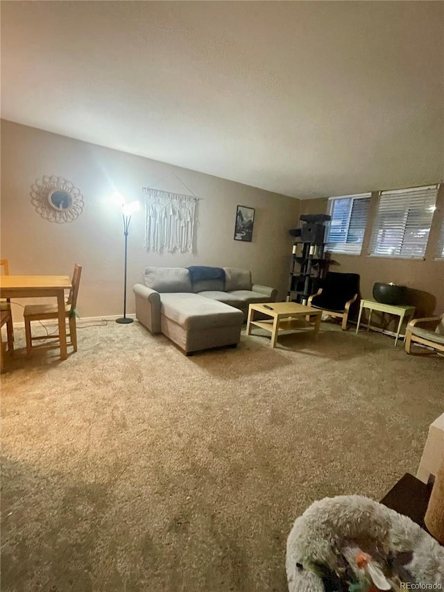 living room with carpet floors