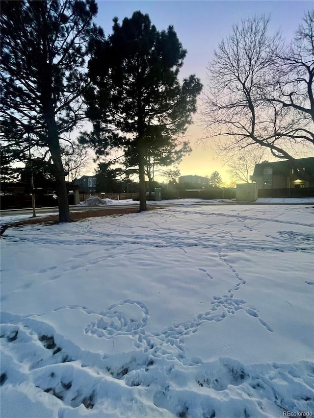 view of snowy yard