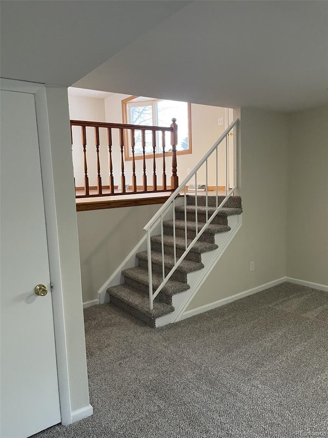 staircase featuring carpet flooring