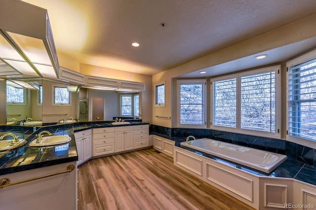 full bathroom featuring a bath, a sink, double vanity, and wood finished floors