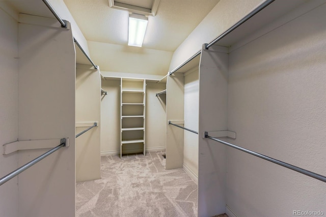 spacious closet with light colored carpet