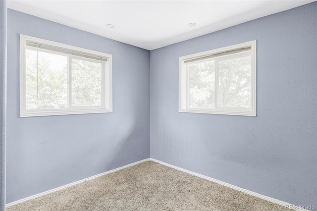 5360 Johnson St, Arvada, CO 80002 - photo 14
