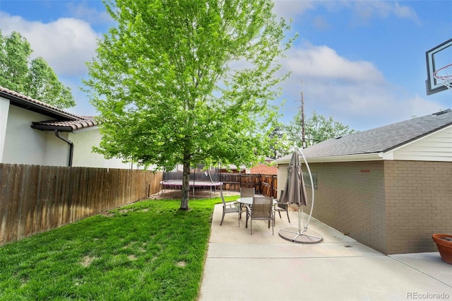 1317 S Saint Paul St, Denver, CO 80210 - view of yard featuring a trampoline and a patio area