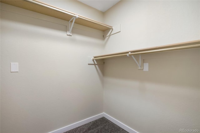 595 Wintery Cir, Colorado Springs, CO 80919 - spacious closet featuring dark colored carpet