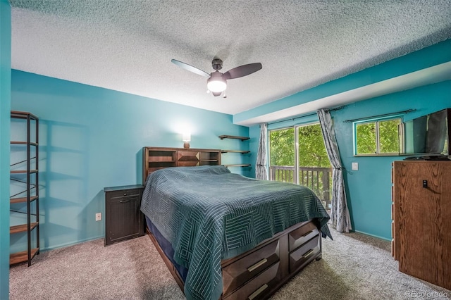 12565 Eudora St, Thornton, CO 80241 - photo 8