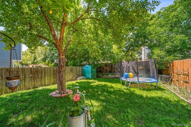 12565 Eudora St, Thornton, CO 80241 - photo 19