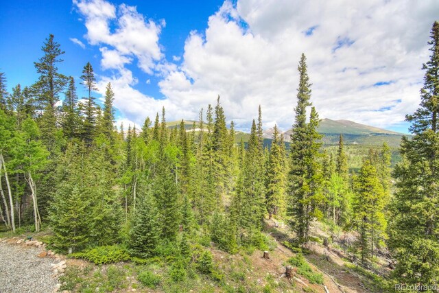 1198 Kootchie Kootchie Rd, Alma, CO 80420 - view of local wilderness featuring a mountain view