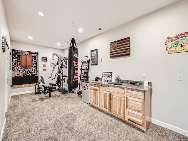 exercise area with sink and carpet