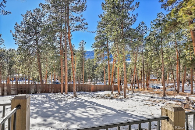 view of yard covered in snow