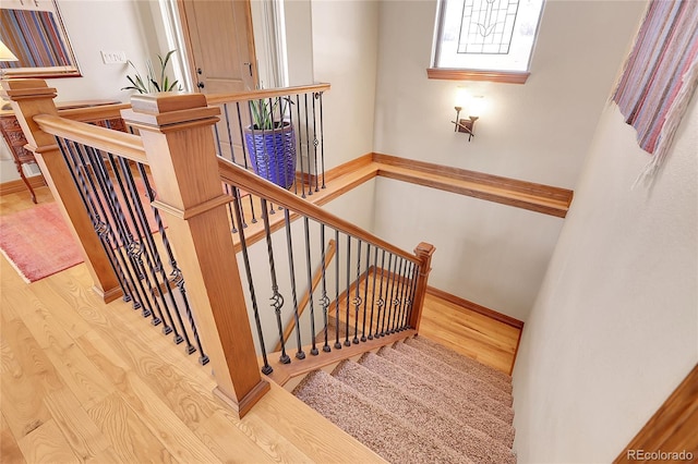 staircase with hardwood / wood-style flooring