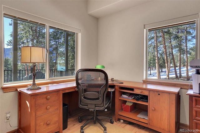 office space featuring light hardwood / wood-style floors