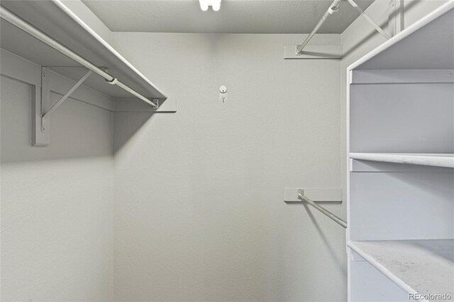 19937 E Loyola Pl, Aurora, CO 80013 - view of spacious closet