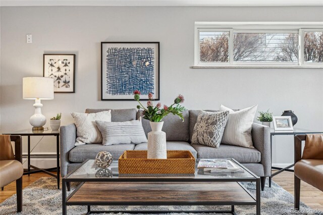 living room with baseboard heating and wood finished floors