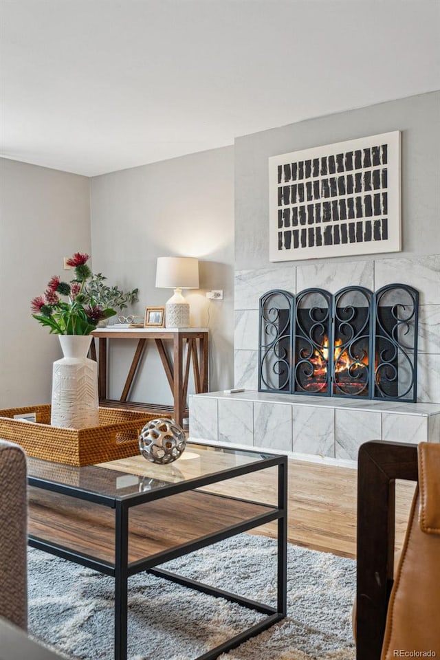 living area with a fireplace