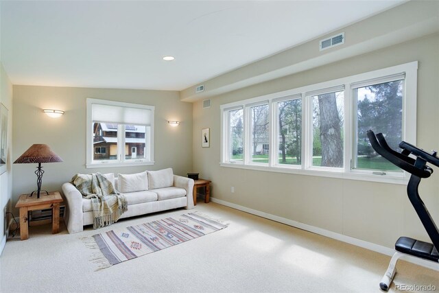 9445 Lykins Pl, Longmont, CO 80503 - photo 22