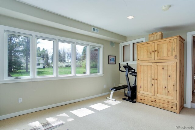 9445 Lykins Pl, Longmont, CO 80503 - photo 23