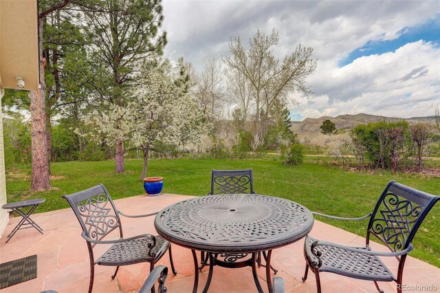 9445 Lykins Pl, Longmont, CO 80503 - photo 27