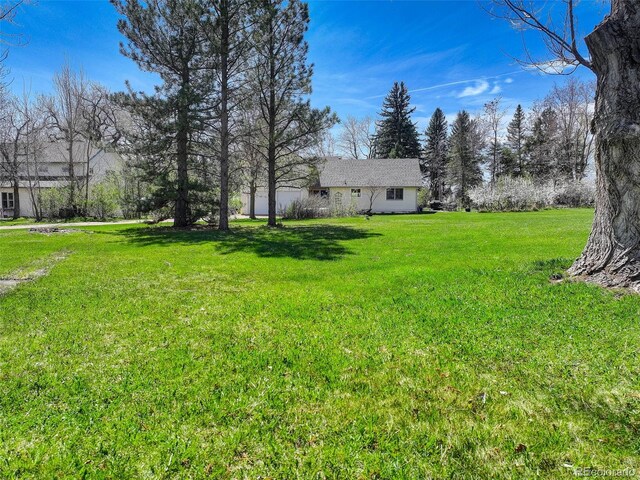 9445 Lykins Pl, Longmont, CO 80503 - photo 29