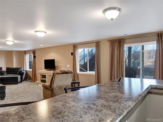 carpeted dining room with a healthy amount of sunlight and a textured ceiling