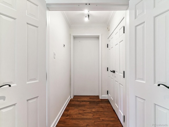 1111 Race St Unit 3A, Denver, CO 80206 - hallway with crown molding and dark wood-style floors