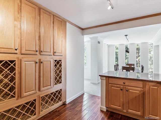 1111 Race St Unit 3A, Denver, CO 80206 - kitchen with dark stone counters, dark wood-type flooring, rail lighting, ornamental molding, and decorative light fixtures