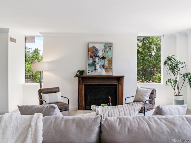1111 Race St Unit 3A, Denver, CO 80206 - living room featuring healthy amount of natural light, ornamental molding, and a fireplace