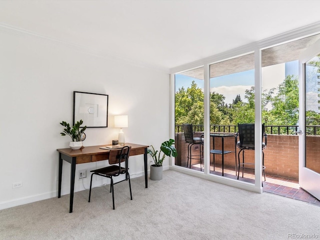 1111 Race St Unit 3A, Denver, CO 80206 - home office featuring carpet flooring