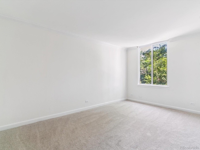 1111 Race St Unit 3A, Denver, CO 80206 - unfurnished room featuring crown molding and light colored carpet