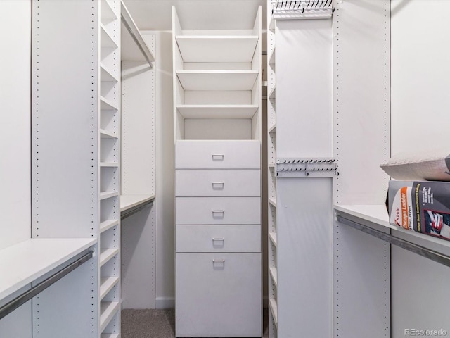 1111 Race St Unit 3A, Denver, CO 80206 - view of walk in closet