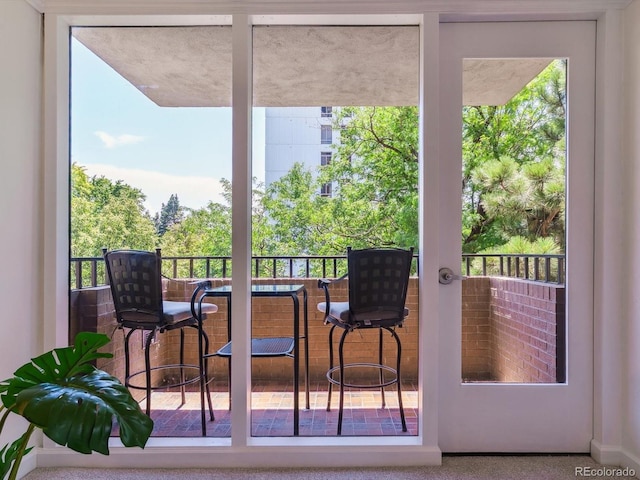 1111 Race St Unit 3A, Denver, CO 80206 - entryway with plenty of natural light