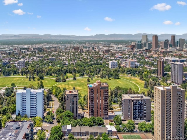 1111 Race St Unit 3A, Denver, CO 80206 - view of urban area with mountains