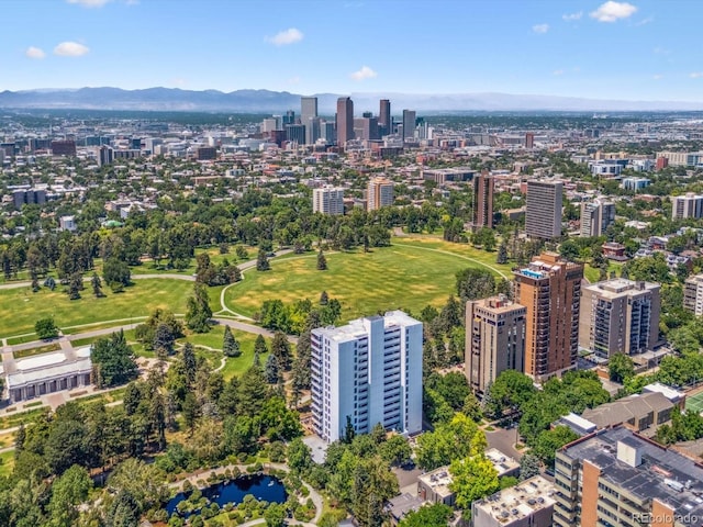 1111 Race St Unit 3A, Denver, CO 80206 - view of urban area with mountains