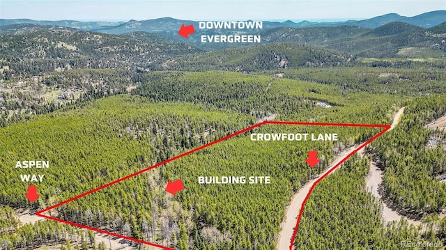 0 Crowfoot Ln, Evergreen CO, 80439 land for sale