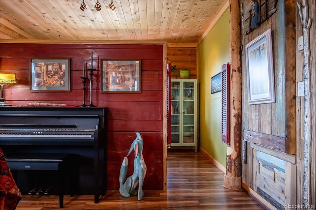 361 Crystal Peak Rd, Florissant, CO 80816 - miscellaneous room featuring wood walls, wood-type flooring, and wooden ceiling