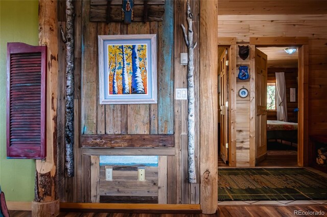 361 Crystal Peak Rd, Florissant, CO 80816 - room details with hardwood / wood-style flooring and wooden walls