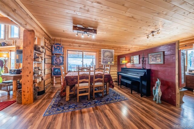 361 Crystal Peak Rd, Florissant, CO 80816 - dining room featuring plenty of natural light and wood-type flooring
