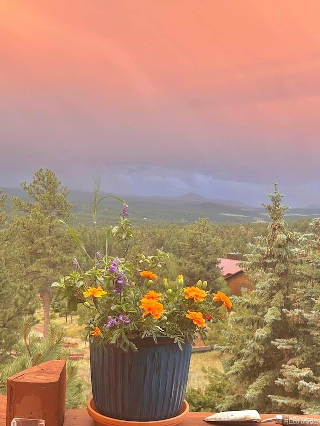 361 Crystal Peak Rd, Florissant, CO 80816 - photo 50