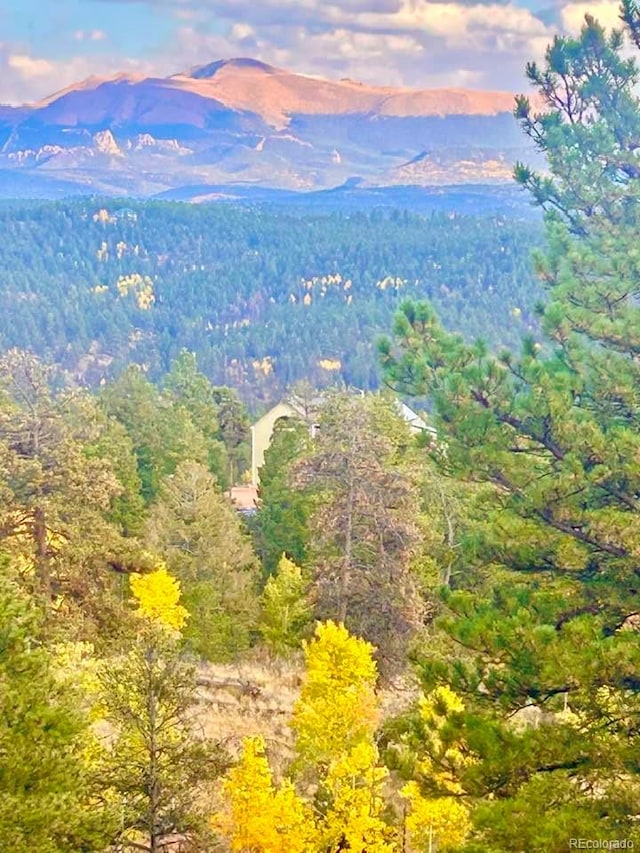 361 Crystal Peak Rd, Florissant, CO 80816 - photo 2
