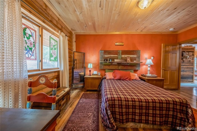 361 Crystal Peak Rd, Florissant, CO 80816 - photo 27